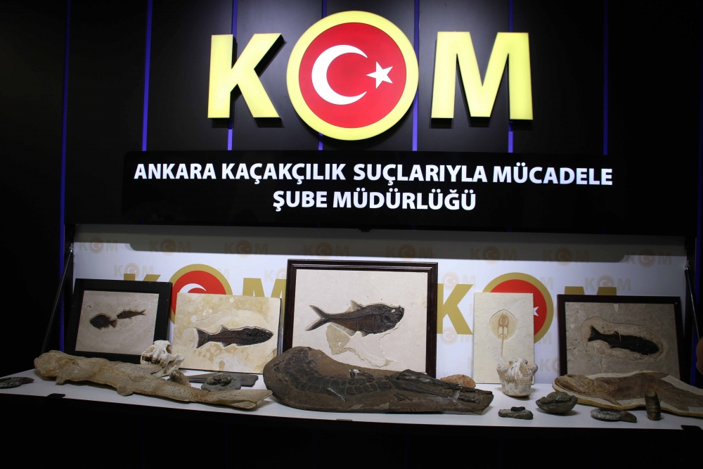 Ankara'da Adnan Oktar örgütüne 10 milyon dolarlık fosil kaçakçılığı 11