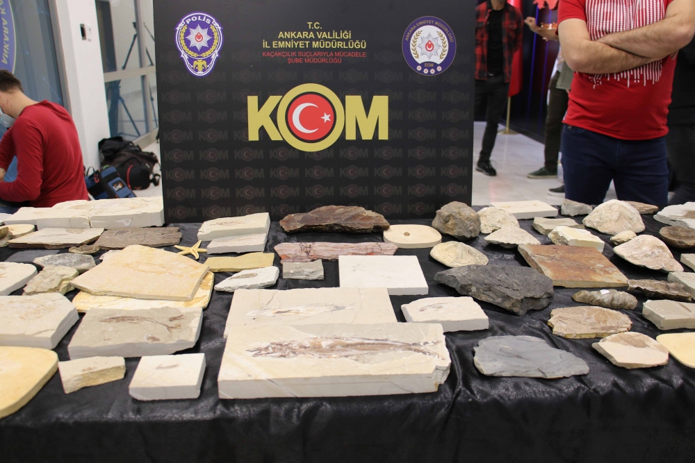 Ankara'da Adnan Oktar örgütüne 10 milyon dolarlık fosil kaçakçılığı 5