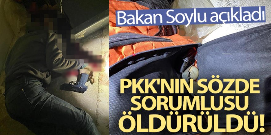 PKK operasyonunda sözde eyalet sorumlusu öldürüldü
