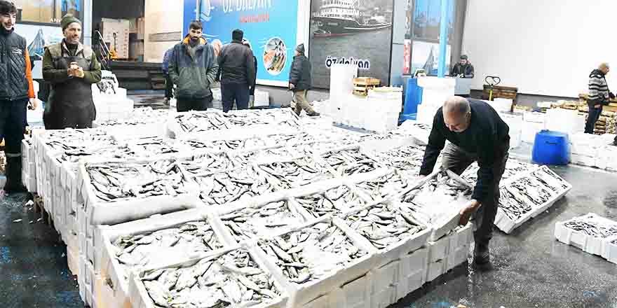 Ankara Balık Hali esnafı yeni yerinden memnun