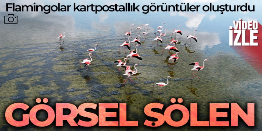 Konya’da bulunan Düden Gölü’ndeki flamingolar (allı turna) görsel şölen oluşturdu.